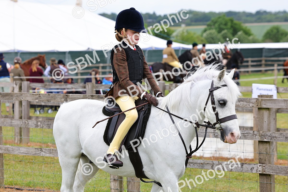SBM_08455 - Class 42-43 - LIHS BSPS Heritage Working Sports Pony