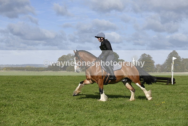 _DSC5692 - Time 10:49 to 11:23