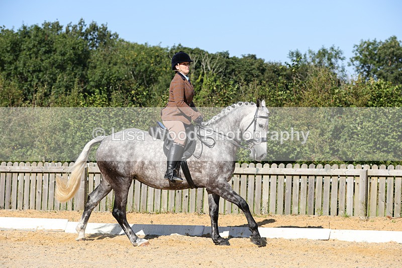 1X9A7761 - Class 9: Open Ridden Hunter