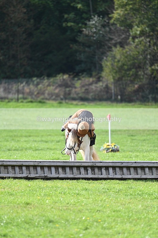 WJ7_3960 - 40cm Time 10:26 to 10:42