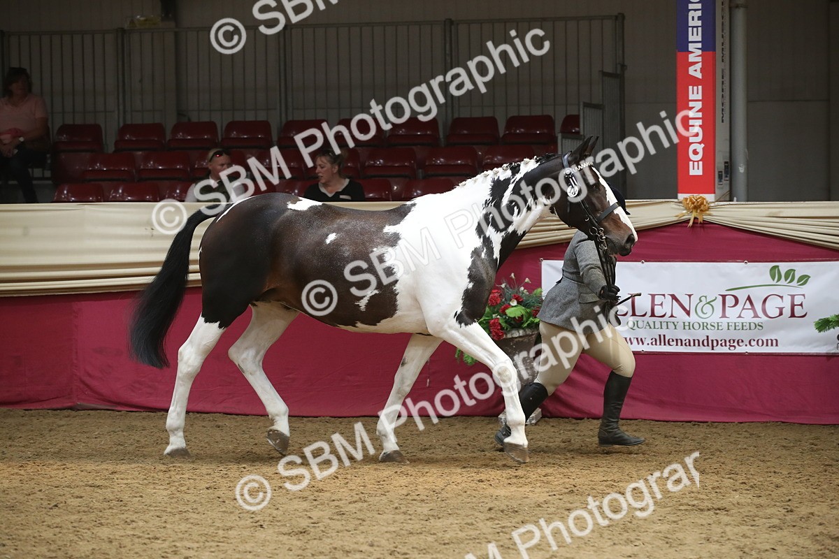 SBM_05568 - Class 9R - Regional IH Pre-Vet