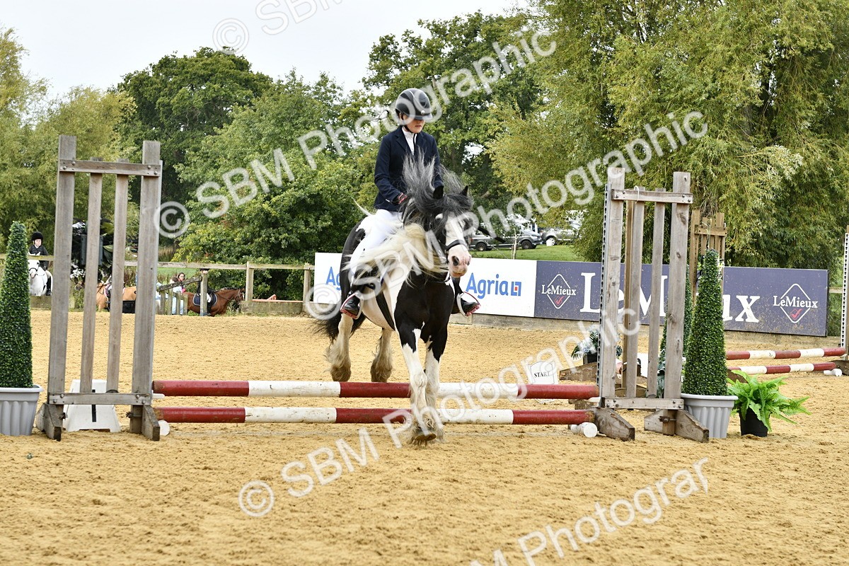 SBM_57238 - J61 - Mini Clear Round 30cm & 40cm