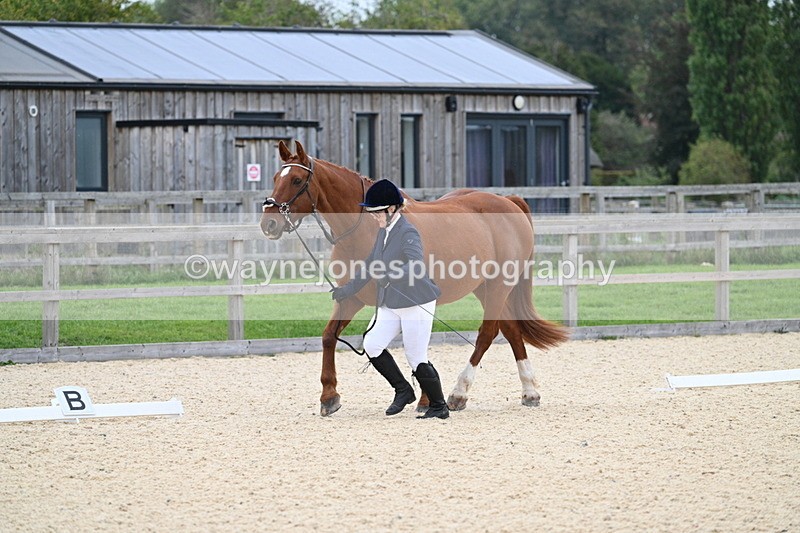 WJ7_1812 - Class 1 & Champs