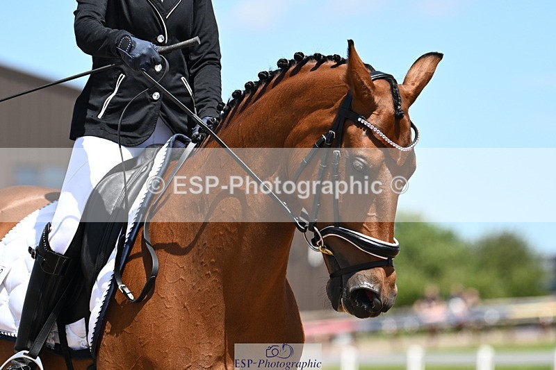 240621A-133039-04081 - Cls 8 BD Elementary 53