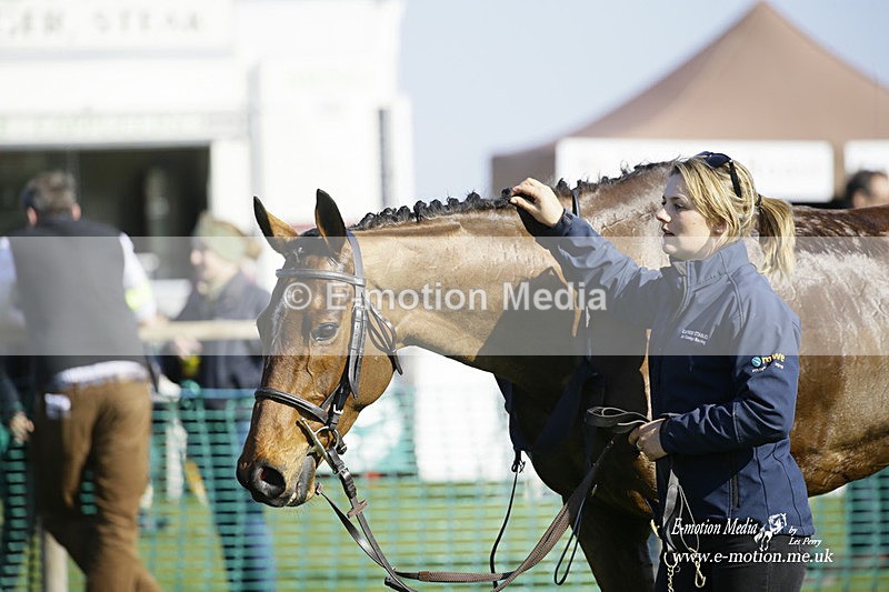 PtP 190322 626 - Wilton Hunt PtP Milborne St Andrew 19/03/22