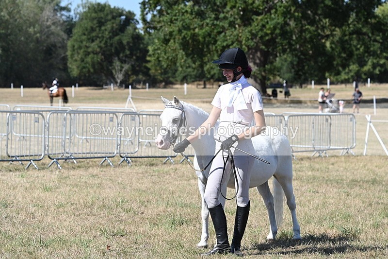 WJ6_9385 - Class 40 Cheekiest Pony/Horse