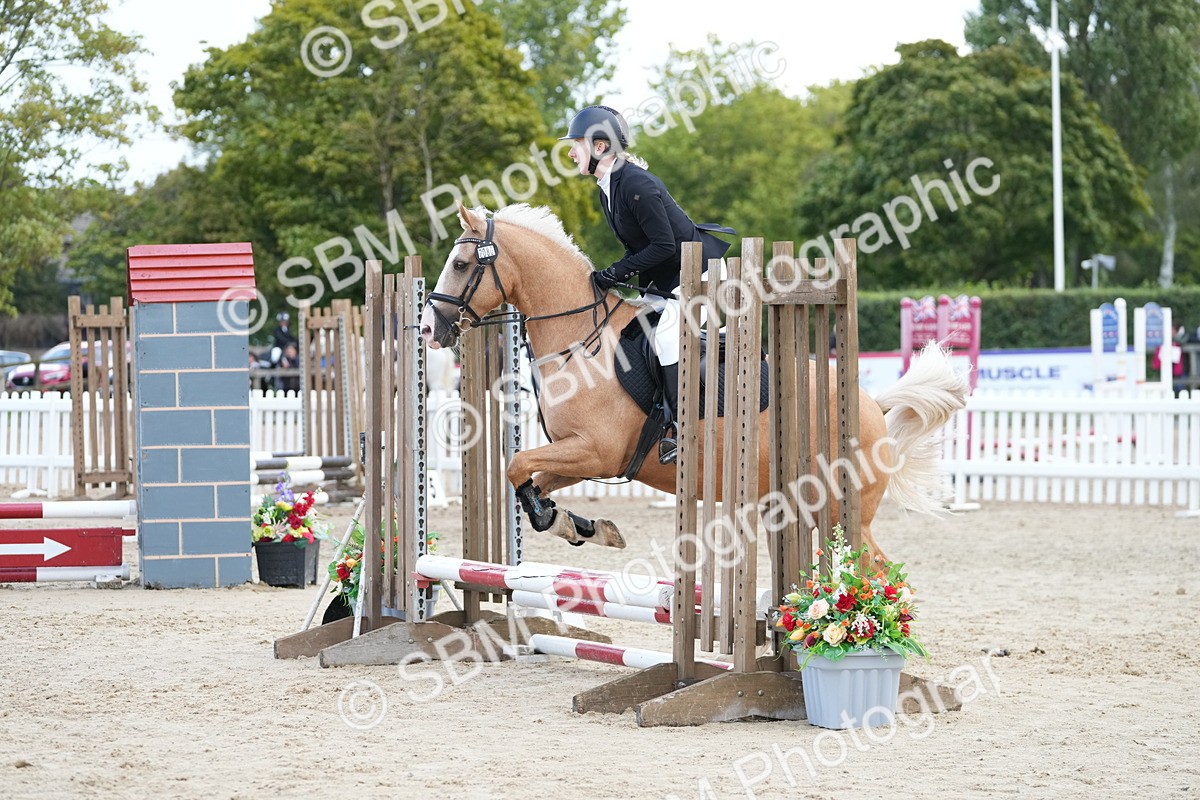 SBM_21073 - J49 - Open 50cm