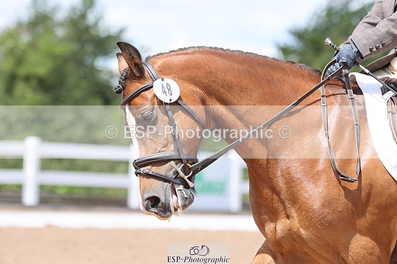 240706A-132101-02777 - Cls 8A Snr RT Prelim 12 Start to 14.30 break