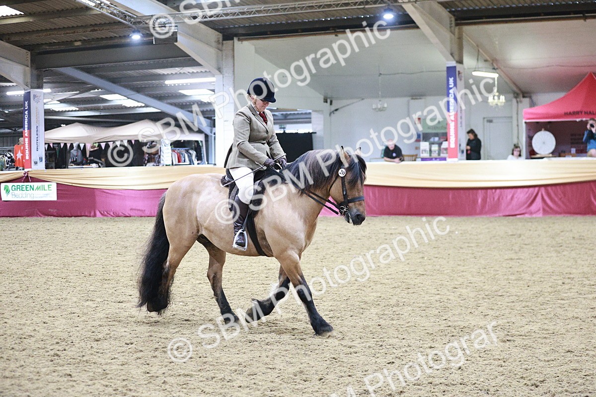 SBM_08107 - Class 11R - Regional Ridden Veteran