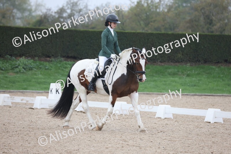 20251012-0585 - Class 5 - Elementary 5