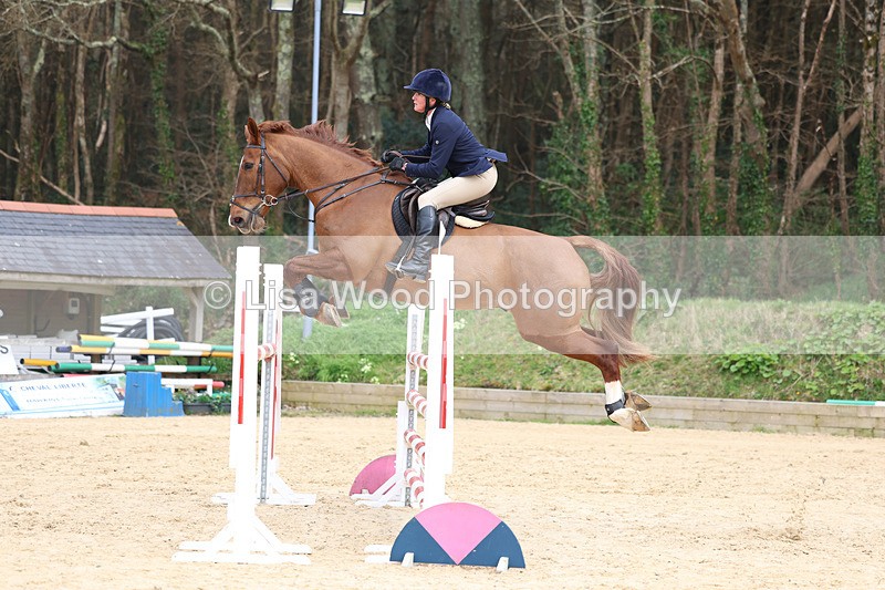 3E7A7775 - Class 9: Senior Foxhunter/1.20 open