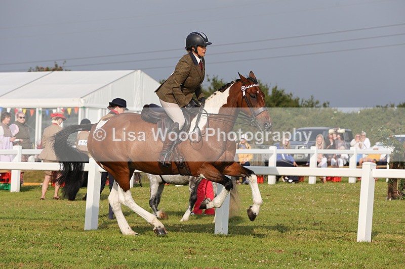 1X9A2904 - Class 25: Ridden Plaited Coloured Horse