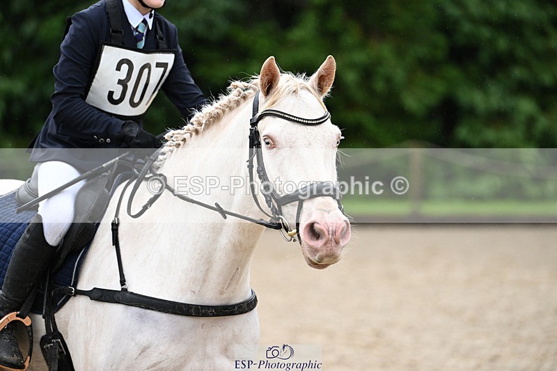 240824X-093839-23289 - 70cm Round 2 9.30 to 10.30