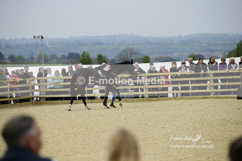 PtP 020522 511 - Mollington Races Point-to-Point 02/05/22
