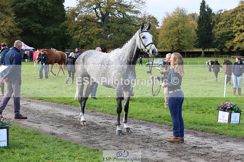 251026A-100026-22660 - D-360-Hannah.Norvill
