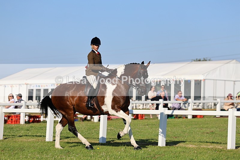 IMG_1212 - Class 27: Ridden Plaited Coloured Horse