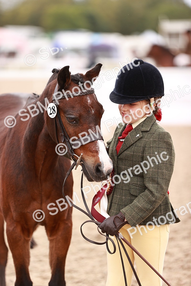 SBM_18632 - Class 421 - Childs Best Friend - Jnr
