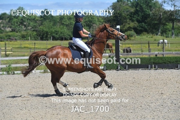 JAC_1700 - CLASS 3 Senior British Novice/ 90cm Open