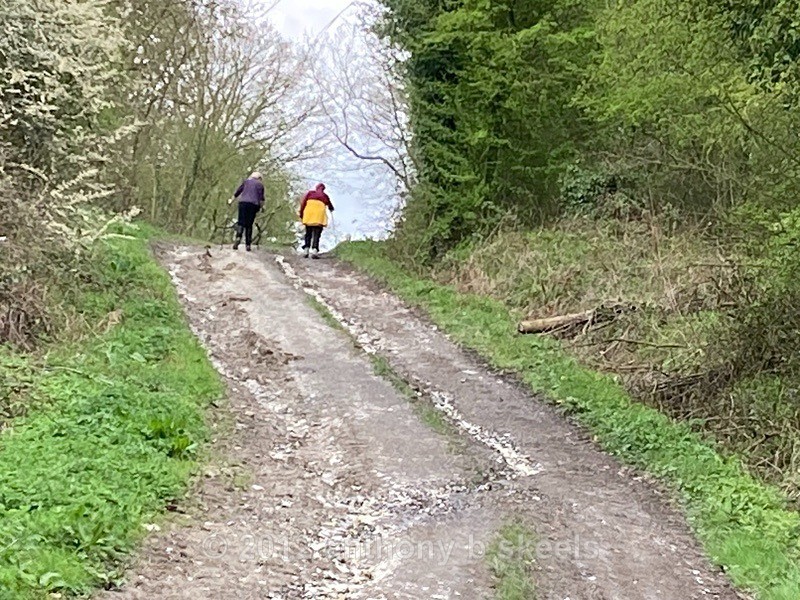 004 Through Bratt Wood  straining for the top - SAINT PAULINUS PILGRIMAGE TRAIL