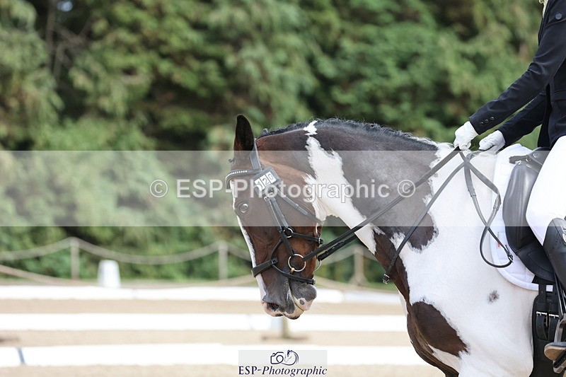 250718A-150406-02359 - 120-Jodie.Stafford-Searle-Shania