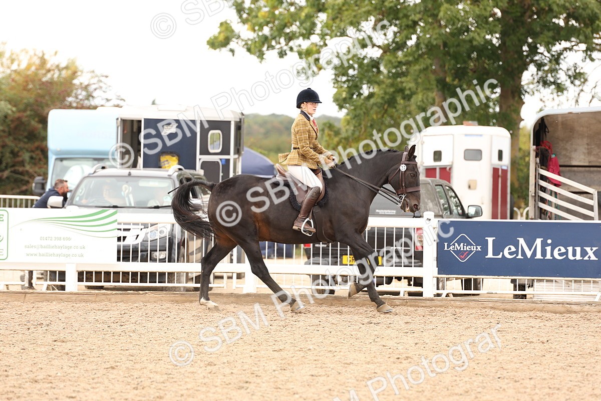 SBM_16481 - Class 212 - Ridden Hunter - Small