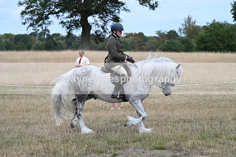 WJ7_4768 - Class 12 Ridden Cob