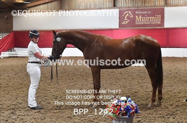 BPP_1242 - MORNING 9AM - 12PM