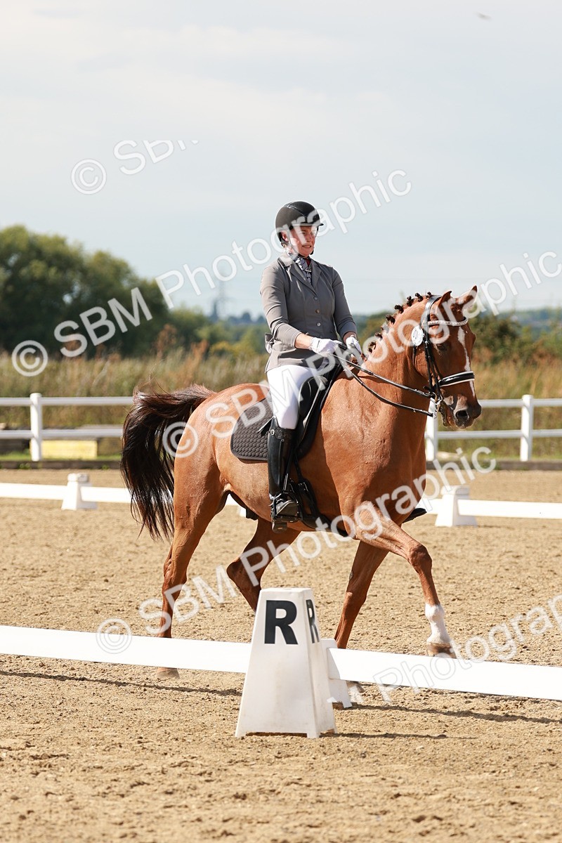 SBM_002544 - Class 11 - Medium 6