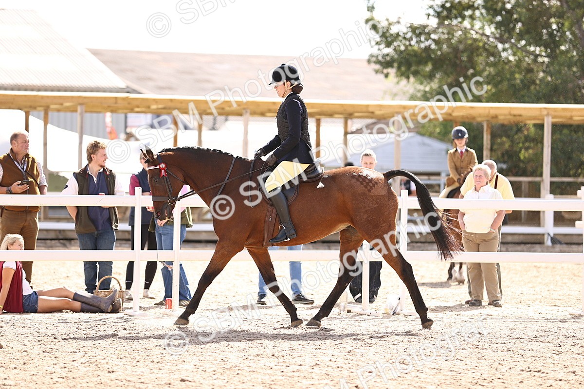 SBM_11638 - Class 408 - Grassroots Ridden - Walk & Trot