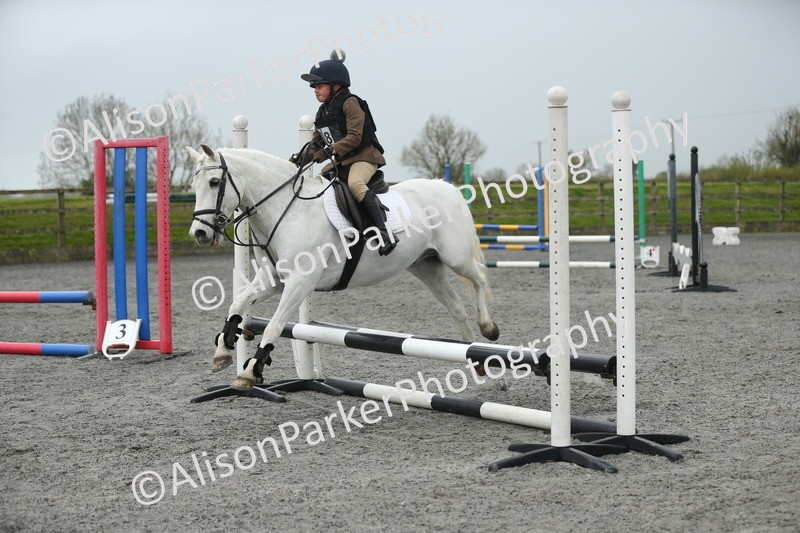 20260412-1874 - Show Jumping