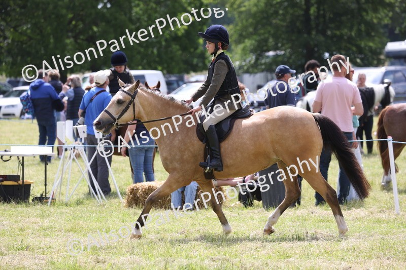 20260614-1794 - Class 21 - Novice Working Hunter Pony