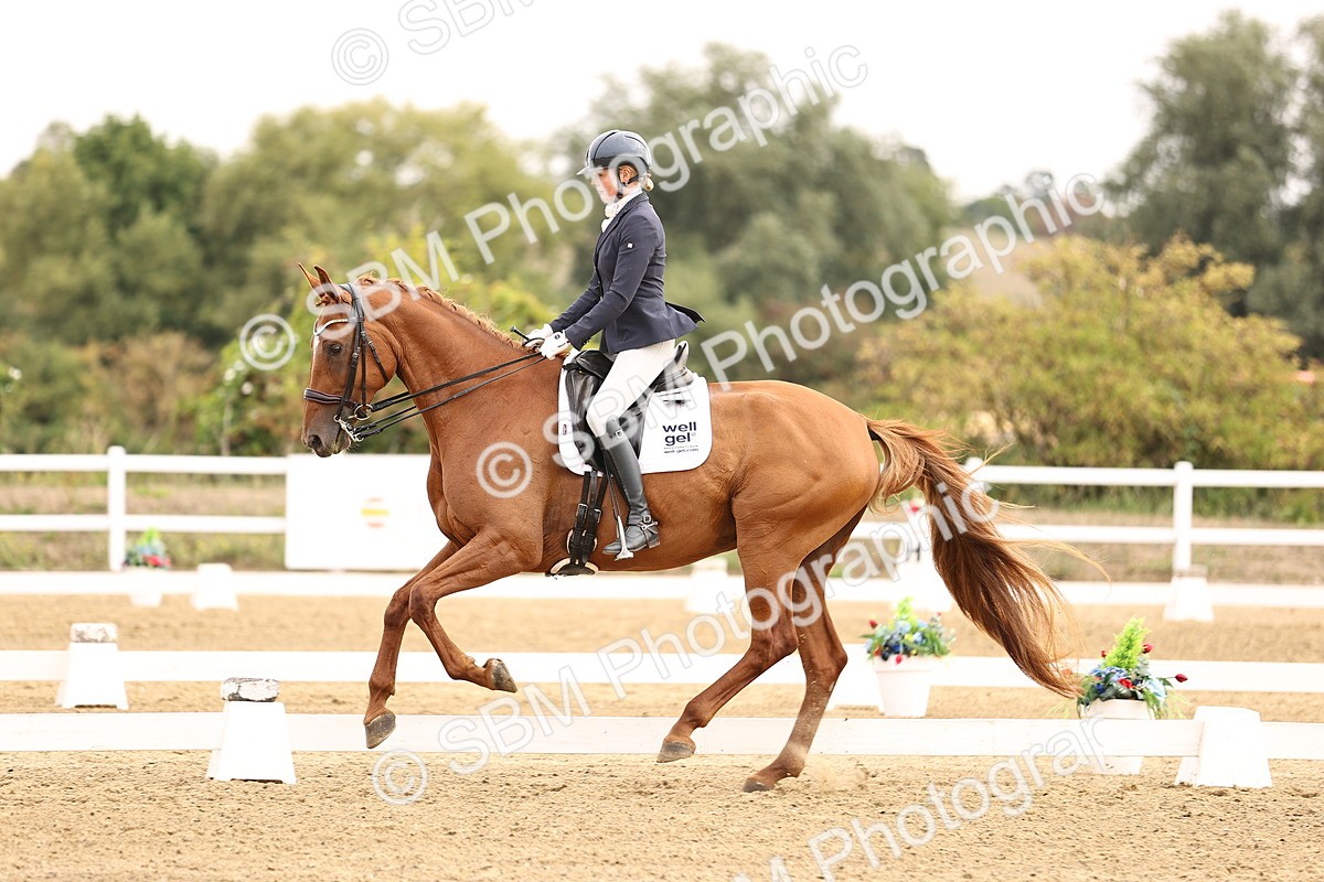 SBM_011651 - Class 1 - Medium 5