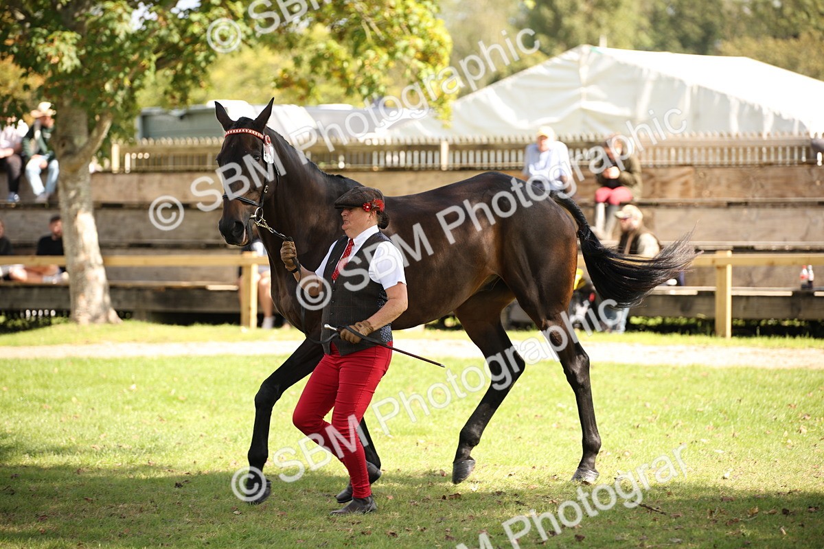 SBM_44434 - S24 - Young Veteran in hand
