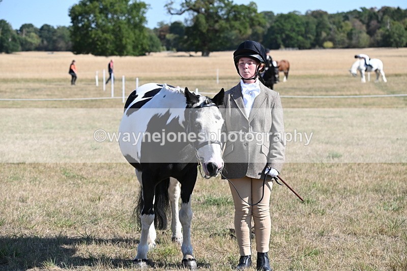 WJ6_7299 - Class 33 Rescue Pony
