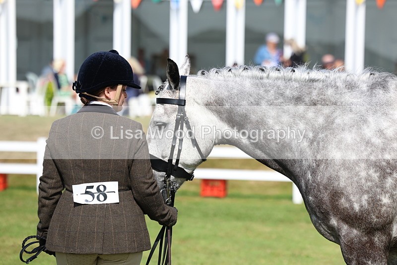 3E7A9070 - Class 3: Rising Star S/L Hunter