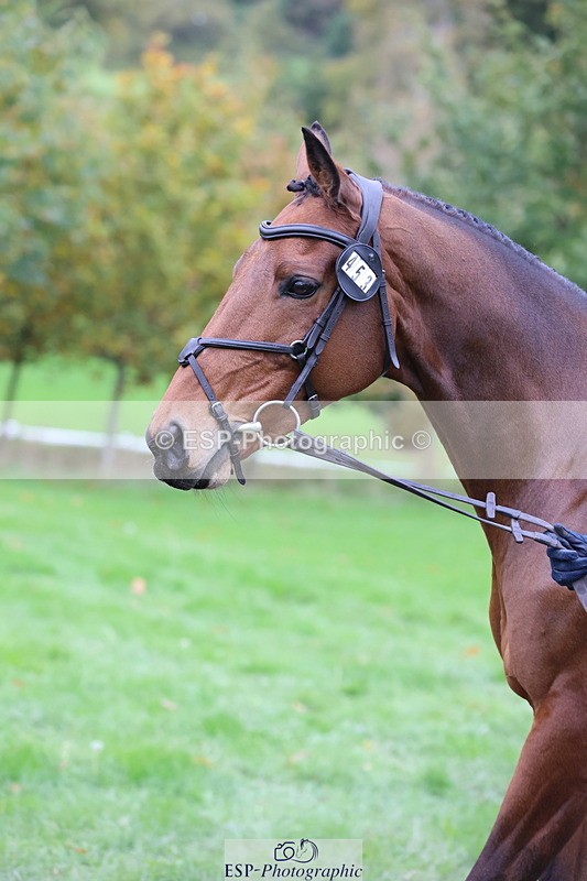 251026A-111336-25320 - F-453-Lucy.Lloyd