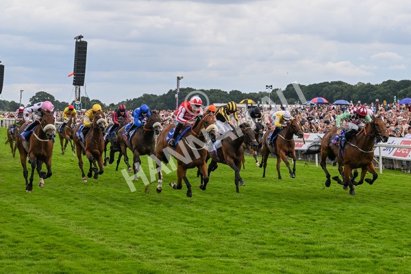 270724-Race 1-Night On Earth-6679 - Race 1 2.05pm Sky Bet 'Jump Jockeys' Nunthorpe' Handicap