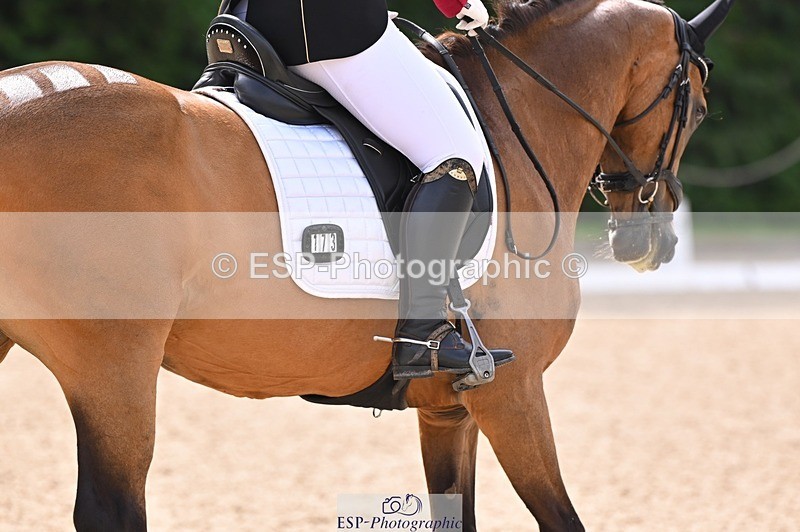 240809-104434-00379 - 173-Daisy.Winkle-Decandro.Hit.LDS