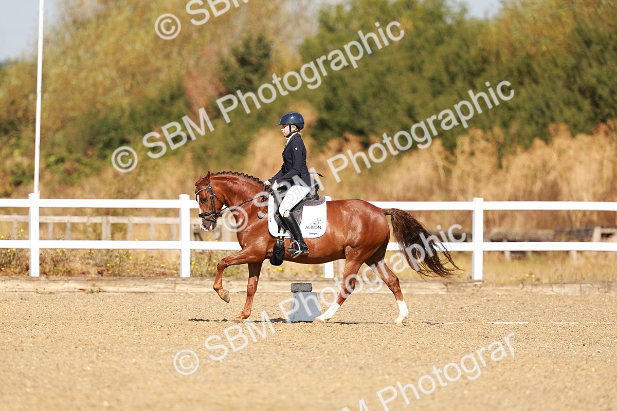 SBM_016833 - Class 9 - N5 Bronze 9.30.10.19