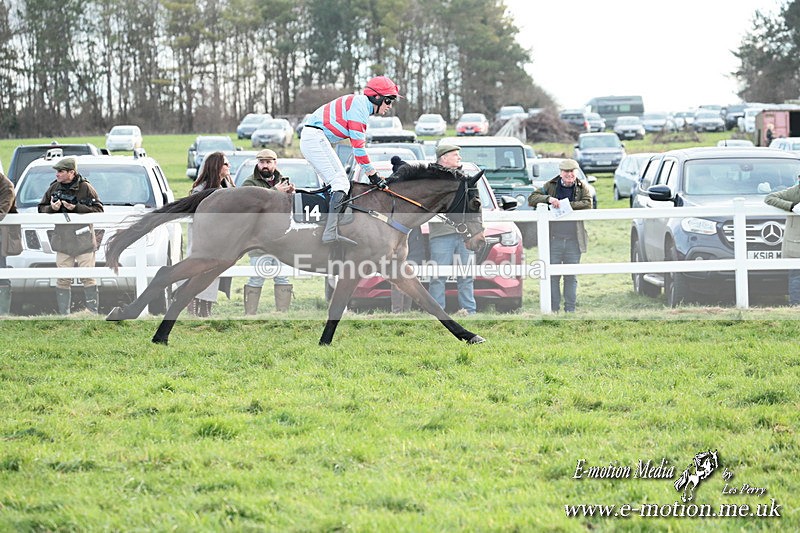 PtP 141225  2169 - New Forest Hounds PtP Larkhill 14/12/25