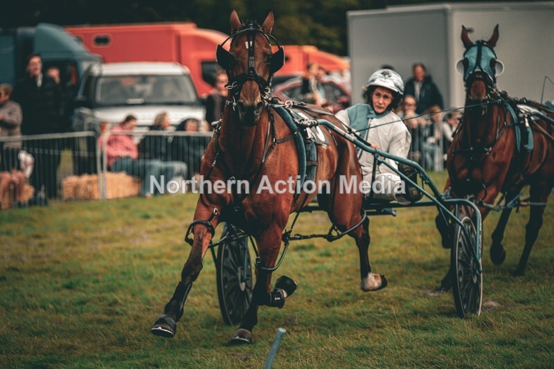 DSCF7397 - Kilnsey Harness racing