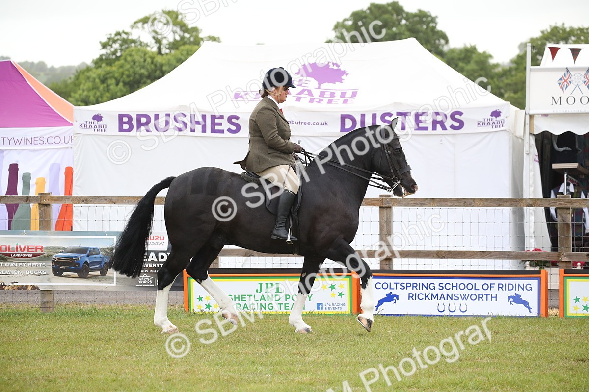 SBM_11024 - Class 92-93 - LIHS BSHA Rising Star Cobs