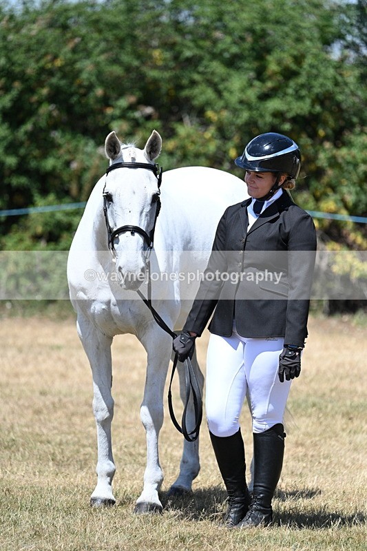 WJ7_2333 - Class 5a Most Handsome Gelding in hand (above 14.2hh)