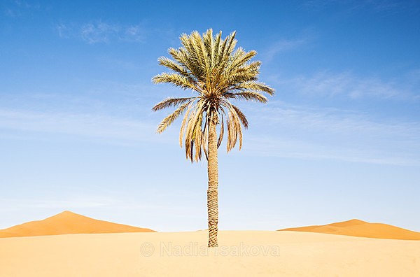  - Morocco