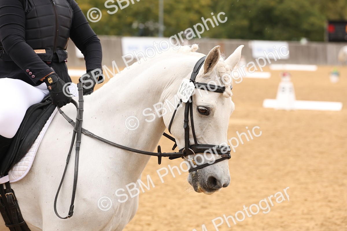 SBM_44030 - D6 - Small Tour Championship Intro 4