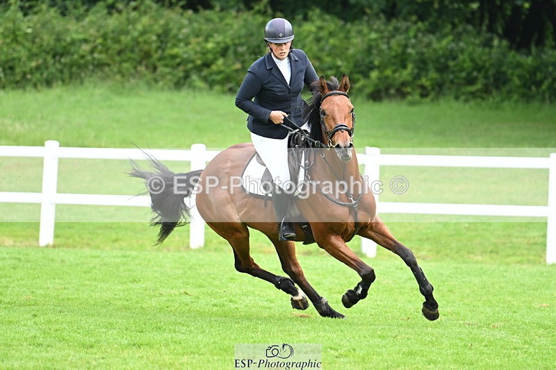 250615A-084300-09253 - Cls 35 Foxhunter