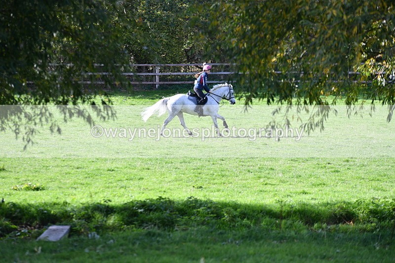 WJ5_8111 - Time 10:31 to 12:01