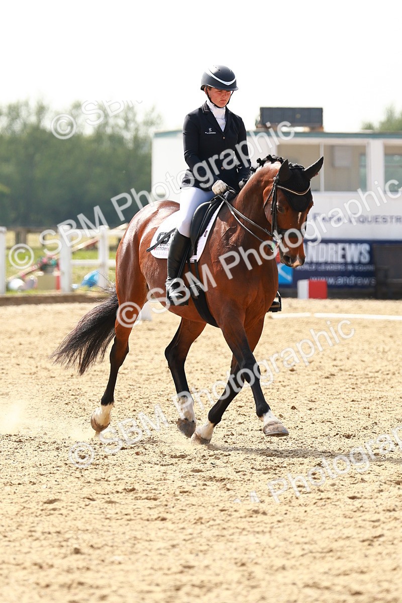 SBM_003120 - Class 13 - Medium 5