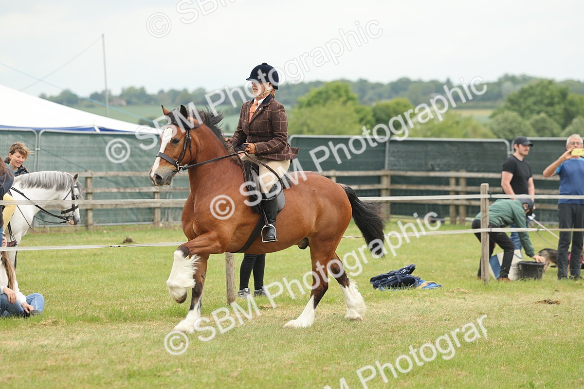 SBM_07211 - Class 76-77 - Ridden M&M Welsh Ponies