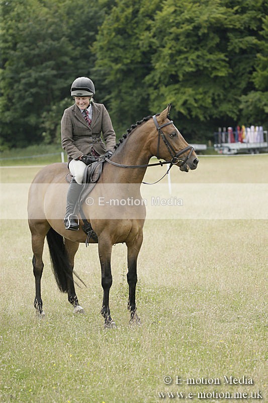 B230619-0873 - Bourne Valley Riding Club Summer Show 23/06/19